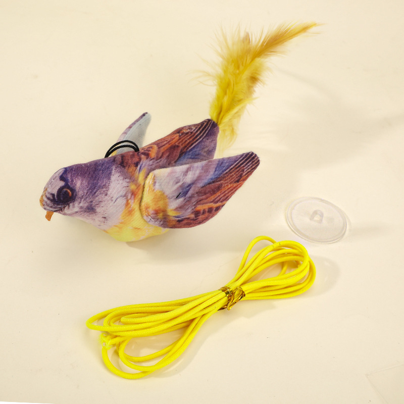 Oiseau arc-en-ciel