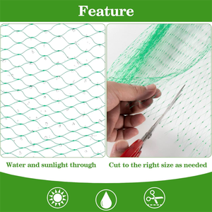Rete Antiuccelli Verde per Giardino, Rete per Alberi da Frutto, Protezione per Frutteti - Product Image 3