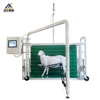 Système intelligent de mesure des dimensions des moutons avec pèse-moutons intégré et cage de contention pour l'élevage du bétail