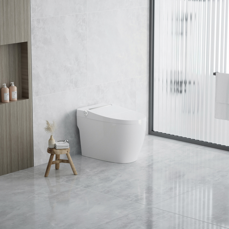 toilets wall hung modern english