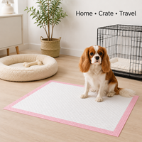 Tapis d'entraînement pour chiens jetables en gros, surface à séchage instantané, noyau anti-fuite pour l'hygiène intérieure des animaux