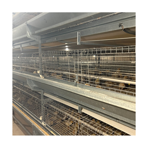 Volaille ferme <span class=keywords><strong>jour</strong></span> vieux bébé <span class=keywords><strong>poussin</strong></span> incubateur Cage <span class=keywords><strong>à</strong></span> poulet <span class=keywords><strong>à</strong></span> <span class=keywords><strong>vendre</strong></span> - Product Image 6