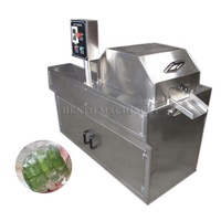Ligne de Production d'aloe Vera, Machine à laver industrielle entièrement automatique, plante de traitement d'aloe Vera, meilleur prix