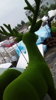 Décorations de jardin en forme de girafe et de cerf, plantes en forme d'animaux avec des cadres en fil de fer pour la topiaire