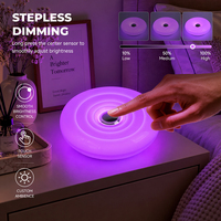 Lampe de Chevet LED RGB Moderne et Minimaliste pour Chambre à Coucher, Rechargeable USB, Contrôle Tactile, Intensité Réglable, Lampe Donut LED en Gros