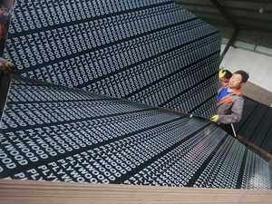 <span class=keywords><strong>Precio</strong></span> de película de <span class=keywords><strong>madera</strong></span> contrachapada para construcción, <span class=keywords><strong>madera</strong></span> contrachapada marina de 18mm, 1220x2440x18mm - Product Image 5