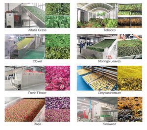 آلة تجفيف القنب الأوتوماتيكية من الفولاذ المقاوم للصدأ حزام شبكي لتجفيف أوراق التبغ بالهواء الساخن مع مكون أساسي للمحرك - Product Image 3