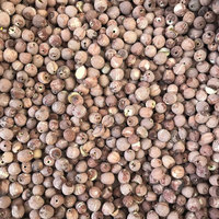 Biji Teratai Kering Kualitas Makanan Grosir untuk Teh, Sup, dan Hidangan Penutup Bersertifikat ISO 22000 Kemasan Pouch dan Kotak Putih Kupas Kulit