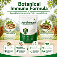 AstraImmune Additifs Alimentaires pour Volailles Polysaccharide d'Astragale L-Lysine Acide Aminé Stimulant Immunitaire Réponse Vaccinale Qualité Alimentaire