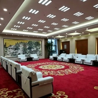 Tapis sur mesure de luxe en peluche douce de DA Carpet Factory, tapis mural à mur, revêtement de sol résidentiel à couverture complète