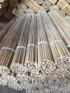 Piquets de bambou séché de petit diamètre – Soutien durable en bambou pour les plantes de jardin potager et agricole - Product Image 2