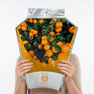 Árbol de Calamondín en Maceta, Planta Cítrica de Interior para Hogar y Jardín, Bolsas para Plantas con Logotipo Personalizable - Product Image 2