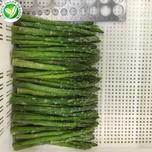 IQF Green Vegetables Price Frozen Fresh Asparagus