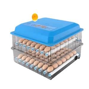 Incubadora de Huevos Eléctrica de Escritorio, Máquina Automática para Incubar Huevos de Pollo, Aves, Patos y Gansos, Herramienta de Incubación para Uso en Granjas - Product Image 4