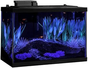 Inclusief Led Verlichting En Decor <span class=keywords><strong>Aquarium</strong></span> <span class=keywords><strong>20</strong></span> <span class=keywords><strong>Gallon</strong></span> Glazen Kleine <span class=keywords><strong>Aquarium</strong></span> Kit - Product Image 6