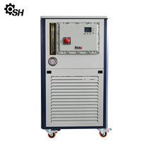Pompe de circulation de liquide de refroidissement à basse température fermée DLSB30-30 le refroidisseur d'équipement de laboratoire 10L/20L/30L/50L