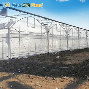 Single Layer Agricultural Greenhouses Square Shape Waterproof and Economical Galvanized Steel Frame Equipment for Sale