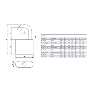 REAL Cadenas de sécurité anti-sélection en laiton massif à noyau chromé pour une utilisation en extérieur et en intérieur - Product Image 5