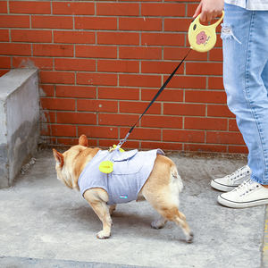 Stampa carina corda di trazione automatica 5M cartone animato forte manico morbido guinzaglio retrattile per cani per cane gatto barboncino Training Running - Product Image 3