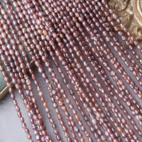 Perles de riz en spirale de couleur naturelle irrégulière de 2,5-3 mm, perles d'eau douce naturelles sans noyau, brin DIY, environ 34 cm avec 80 perles