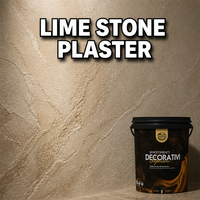 Revestimiento de Pared de Yeso de Cal Natural VALIDEA, Pintura de Cal Transpirable con Bajo Contenido de COV, Efecto Piedra para Interiores y Exteriores