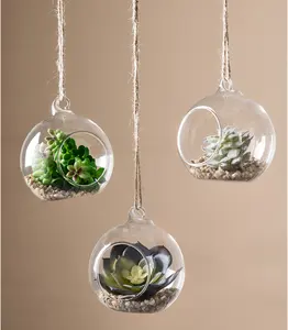 Jarrones colgantes de cristal para flores, Terrario de vidrio para plantas de aire