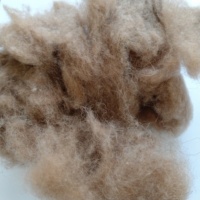 Laine de chameau dépoilée 23-26 microns, 100% poil de chameau naturel de haute qualité