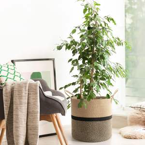 Cubes de rangement Bacs Panier Organisateur Convient aux étagères de rangement 13 "<span class=keywords><strong>X</strong></span> 13" Étagère élégante en corde tissée Panier Rangement de la buanderie - Product Image 3