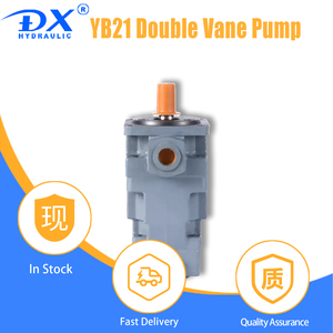 Nuova Pompa a Doppia Paletta DX ad Alte Prestazioni, Componenti per Macchine di Iniezione Serie YB-E/YB1/YB2/YB3/YB4, Unità Idraulica ad Alta Pressione, 1 <span class=keywords><strong>Anno</strong></span> di Garanzia - Product Image 6