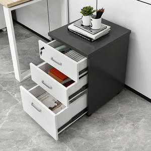 Armoire de classement en acier verrouillable au design minimaliste pour usage commercial, montage facile, applications scolaires - Product Image 1