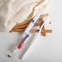 Lot de dentifrice et de brosses à dents souples pour hôtel et voyage – Vente en gros