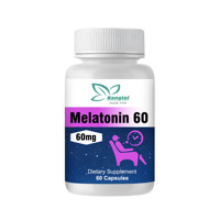 Capsules de mélatonine OEM ODM pour adultes : favorisent un sommeil rapide et sain, complément cérébral, aide au sommeil.