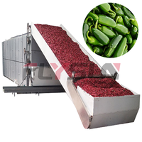 Équipement de séchage automatique pour piments et poivrons rouges mexicains, sécheuse à bande en maille d'acier inoxydable avec engrenage pour la transformation alimentaire