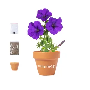 Vaso da fiori Soltax Sustainable Gadget-MyKit Modello 45779_6791 - Product Image 1