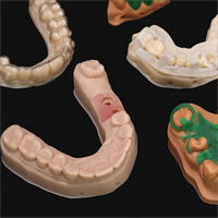 Impresora LCD dental automática Modelos de resina 3D biocompatibles Moldes Gomas y herramientas con garantía de 1 año Conectividad USB