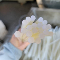 Machine à bâton de colle thermofusible avec conception à vis unique comprenant des composants de base PLC de boîte de vitesses de moteur pour le traitement du plastique EVA