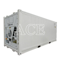 Conteneur frigorifique de 20 pieds certifié CSC BV de la marque ACE, chambre froide de stockage, conteneur congélateur de 20 pieds à Qingdao/Shanghai