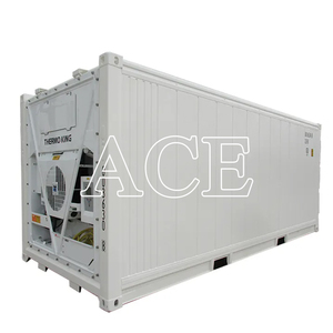 ตู้คอนเทนเนอร์แช่แข็งขนาด 20 ฟุต ยี่ห้อ ACE ได้รับการรับรอง CSC BV สำหรับห้องเย็นขนาด 20 ฟุต ที่เมืองชิงเต่าและเซี่ยงไฮ้ - Product Image 2