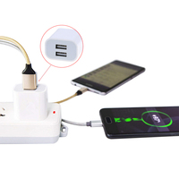 Grosir Australia 2 Port 10W pengisi daya dinding USB elektrik magnetik 5V 2A AU steker adaptor daya AC untuk ponsel