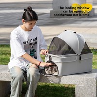 Poussette pour animaux de compagnie, chat, chien, bébé, poussette d'extérieur, petite, en métal, légère, pliable, pour voiture