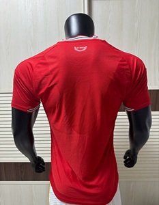 เสื้อฟุตบอลเวลส์สำหรับผู้ใหญ่ ฤดูกาล 2026/27 รุ่นนักเตะ/แฟนบอล พร้อมหมายเลขและตราสโมสร/รองรับการพิมพ์แบบส่วนตัว - Product Image 3