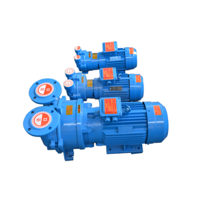 Pompe à vide à anneau liquide horizontale série 2BV de BOYUAN, haute économie d'énergie, personnalisable - Product Image 2