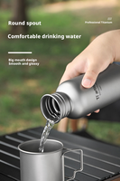 Bouteille d'eau isotherme en titane ultralégère 430/600/750 ml, anti-fuite, pour pique-nique, barbecue, toutes saisons, avec manchon thermique isolant et sac PE