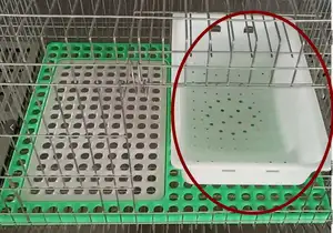 Hot Koop Gevogelte Boerderij Konijn Fokken Kooi Accessoires Nest Doos Sink Innerlijke Plastic In Filippijnen, Maleisië Concurrerende Prijs