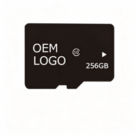 Tarjeta de Memoria de 256 GB al por Mayor, Tarjeta de Memoria Flash TF de Alta Velocidad Clase 10, Chip de Memoria Flash Nand para Cámara, Teléfono, Dispositivos Móviles