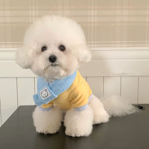 Sweat à capuche jaune pour chiot Bichon Frise avec écharpe, vêtements pour animaux de compagnie toutes saisons, coupe confortable, vêtements pour petits chiens - Product Image 3