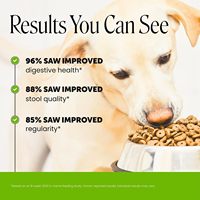 Pet Honesty Probiotiques à Mâcher pour Chiens Santé Digestive Soutien Immunitaire Bien-être Général 90 unités Enzymes Prébiotiques à la Citrouille Sans OGM
