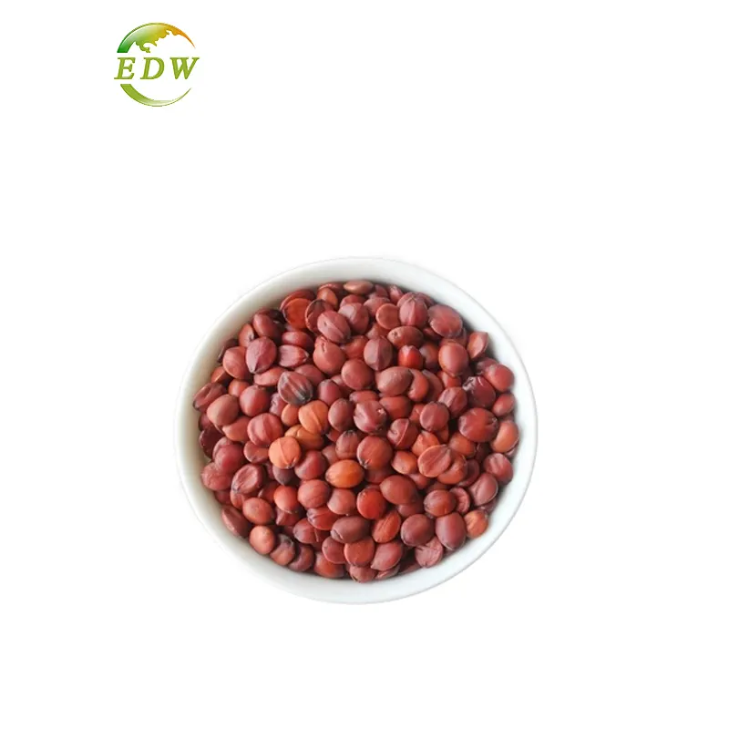 Seme di fabbrica certificato biologico Ziziphi Spinosae estratto di semi di giuggiola Jujuboside Sour Jujube Kernel Extract