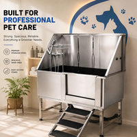 Baignoire professionnelle pour toilettage canin de 50 pouces en acier inoxydable 304 avec porte et rampe pour salon et animalerie