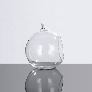 MH-L031 Terrarium en <span class=keywords><strong>verre</strong></span> transparent pour plantes, boules de <span class=keywords><strong>verre</strong></span> suspendues, sphère, terrarium en <span class=keywords><strong>verre</strong></span>, ornements de terrarium en <span class=keywords><strong>verre</strong></span> - Product Image 5